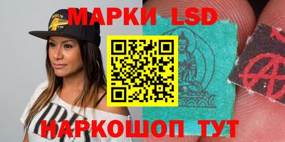 гашик Будённовск