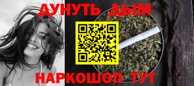 гашик Будённовск