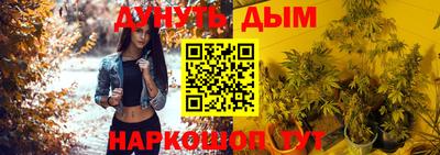 гашик Будённовск