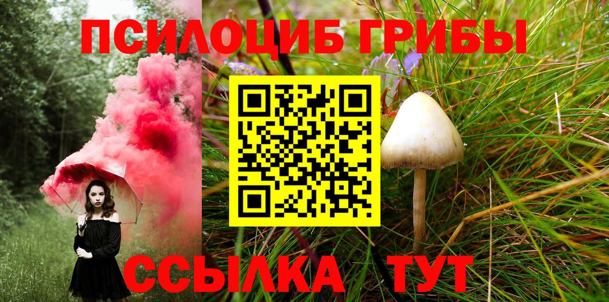 Галлюциногенные грибы MAGIC MUSHROOMS  купить  сайты  Лесозаводск  Вход с VPN 
